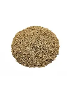 Anice (Pimpinella anisum)