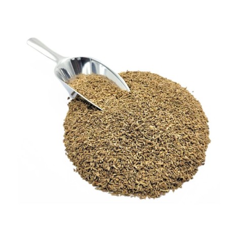 Anise seeds (Pimpinella anisum)