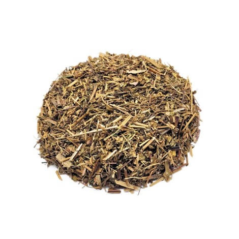 Erba di San Roberto (Geranium robertianum)