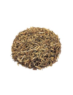 Storchnabel / Ruprechtskraut Tee (Geranium robertianum)