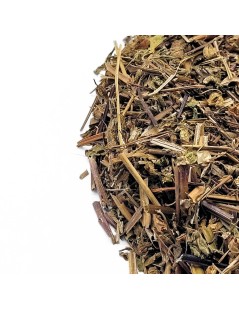 Erva de São Roberto, Planta (Geranium robertianum)