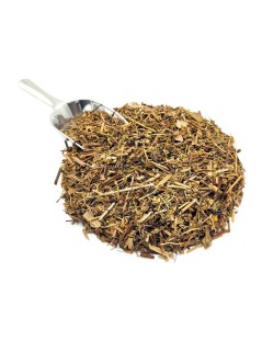 Erba di San Roberto (Geranium robertianum)