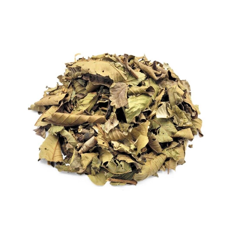 Guava Herbal Tea (Psidium guajava Linné)