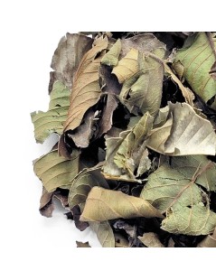 Guava foglie (Psidium guajava Linné)