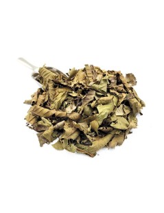 Guava Herbal Tea (Psidium guajava Linné)