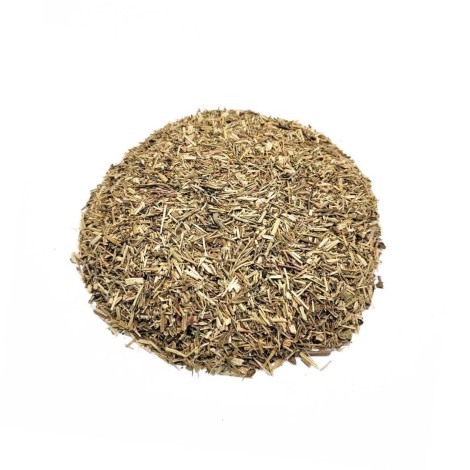 Eyebright / Eyewort, Plant (Euphrasia officinalis)