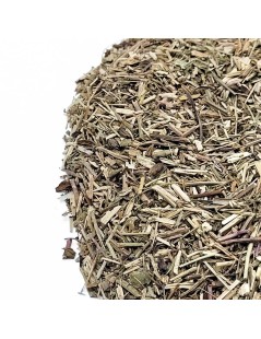 Eufrasia, Planta (Euphrasia officinalis)