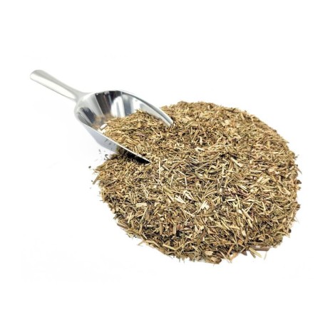 Eufrásia, Planta (Euphrasia officinalis L.)