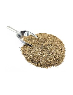 Eyebright / Eyewort, Plant (Euphrasia officinalis)