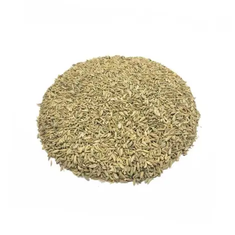 Sementes de Funcho (Foeniculum vulgare)
