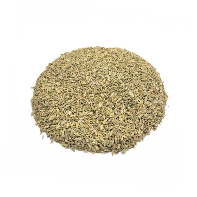 Fennel Seeds (Foeniculum vulgare)