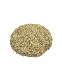 Fennel Seeds (Foeniculum vulgare)