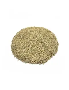 Sementes de Funcho (Foeniculum vulgare)