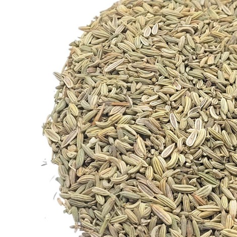 Semillas de Hinojo (Foeniculum vulgare)