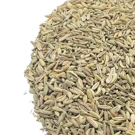 Sementes de Funcho (Foeniculum vulgare)