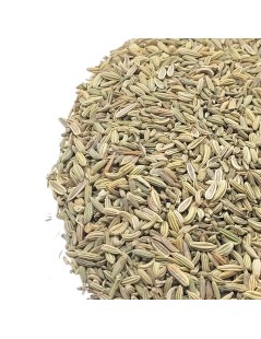 Fennel Seeds (Foeniculum vulgare)