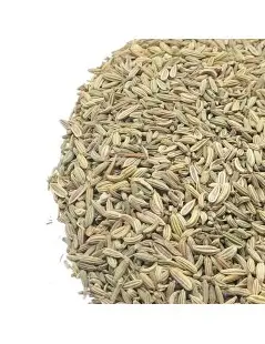 Sementes de Funcho (Foeniculum vulgare)