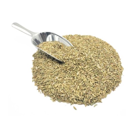 Fennel Seeds (Foeniculum vulgare)