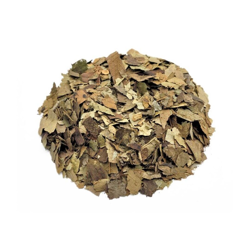 Corossol feuilles (Annona muricata)