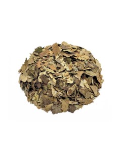 Graviola Annona Herbal Tea (Annona muricata)