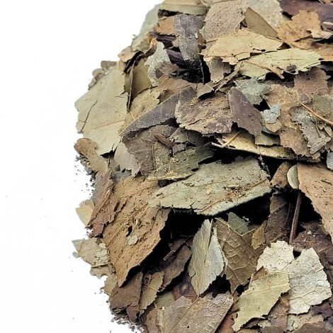 Corossol feuilles (Annona muricata)