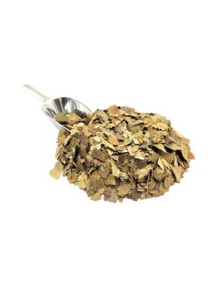 Corossol feuilles (Annona muricata)