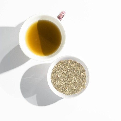 Losna Assenzio, Pianta (Artemisia absinthium L.).