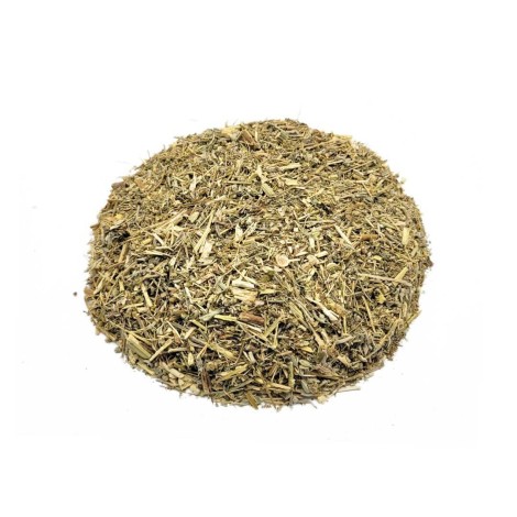 Losna Absinthe Herbal Tea (Artemisia absinthium L.)