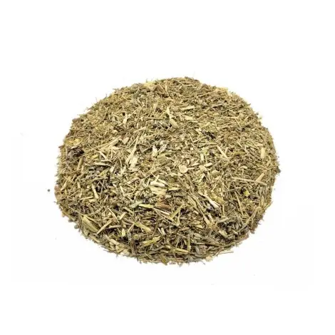 Ajenjos, Planta (Artemisia absinthium L.).