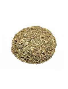 Absinthe Plante (Artemisia absinthium L.)