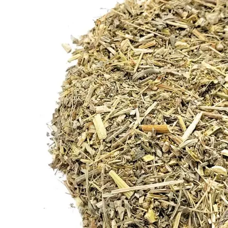 Ajenjos, Planta (Artemisia absinthium L.).