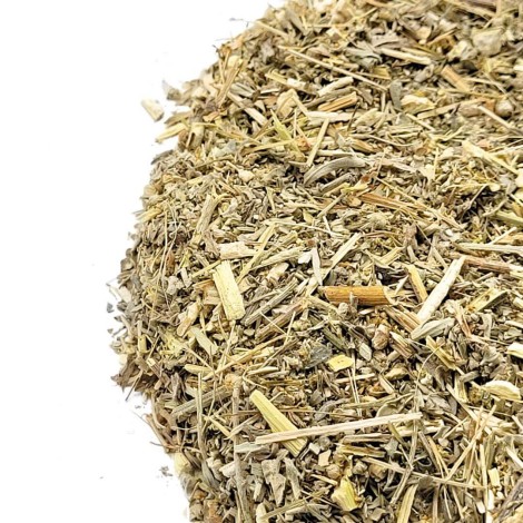 Losna Wermut Tee (Artemisia absinthium L.)