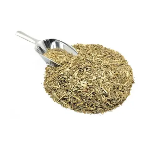 Ajenjos, Planta (Artemisia absinthium L.).