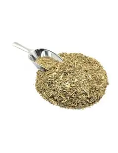 Ajenjos, Planta (Artemisia absinthium L.).