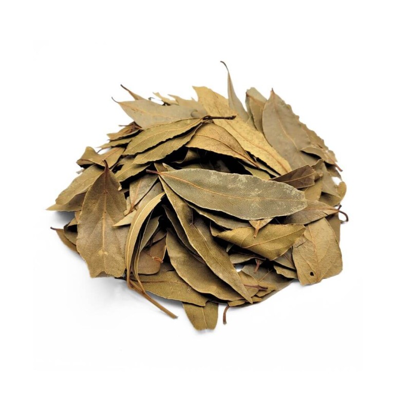 Bay leaf (Laurus nobilis)