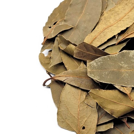 Lorbeerblätter (Laurus nobilis)