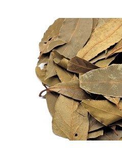 Laurel, hojas (Laurus nobilis)