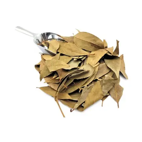 Bay leaf (Laurus nobilis)