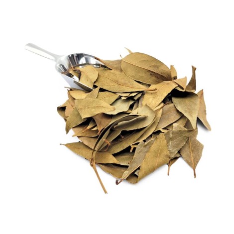 Lorbeerblätter (Laurus nobilis)