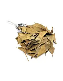 Bay leaf (Laurus nobilis)