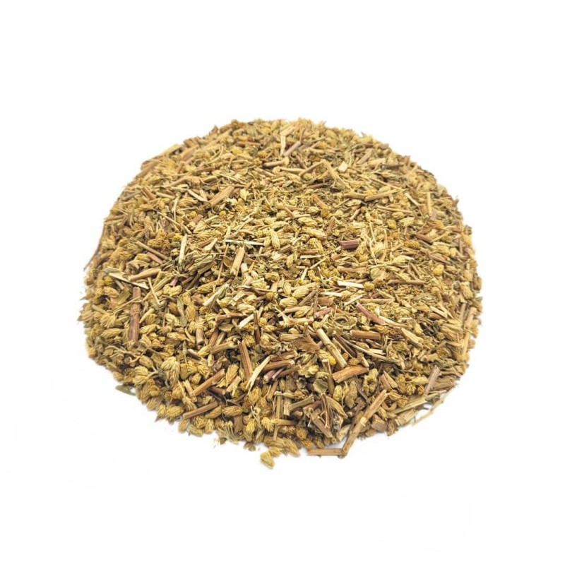 Achillea Millefoglie pianta (Achillea millefollium)