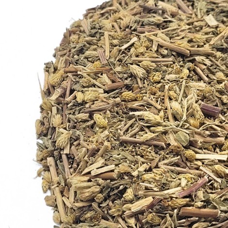 Achillée Millefeuille, Plante (Achillea millefollium)