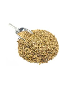 Milenrama, Hierba (Achillea millefollium)