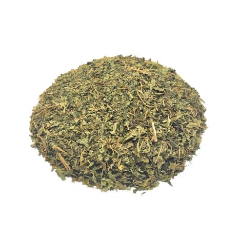 Papaya Herbal Leaf Tea (Carica papaya L.)