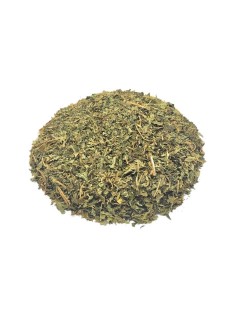 Papayablätter Tee (Carica papaya L.)