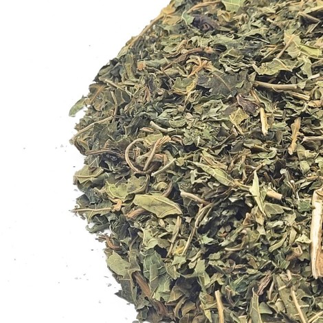 Papayablätter Tee (Carica papaya L.)