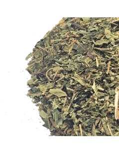 Papayablätter Tee (Carica papaya L.)