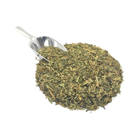 Papayablätter Tee (Carica papaya L.)