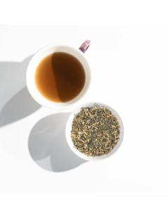 Picão Negro Blackjack (Bidens pilosa L.)