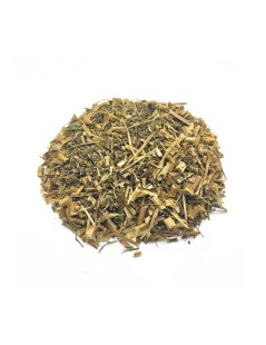 Picão Preto Blackjack Herbal Tea (Bidens pilosa L.)